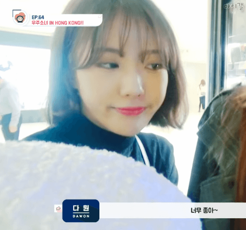 홍콩에 간 보나 루다