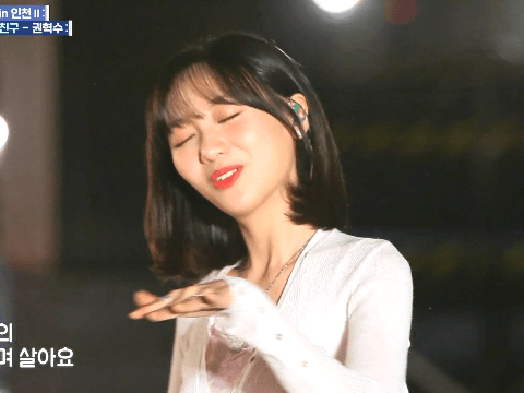 동네앨범 수정 케이