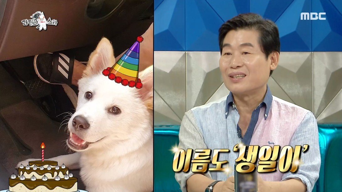 안락사 이틀 남긴 유기견을 입양