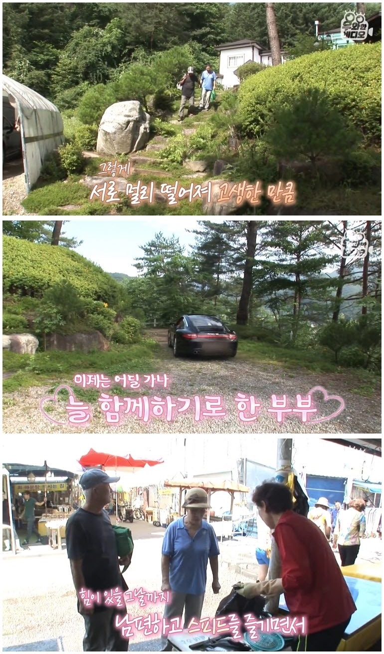 74세 스포츠카 차주