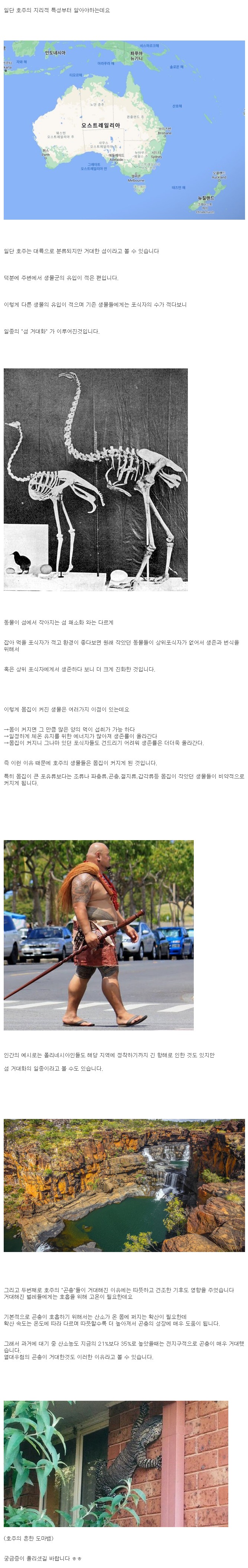 호주의 벌레들이 거대한 이유