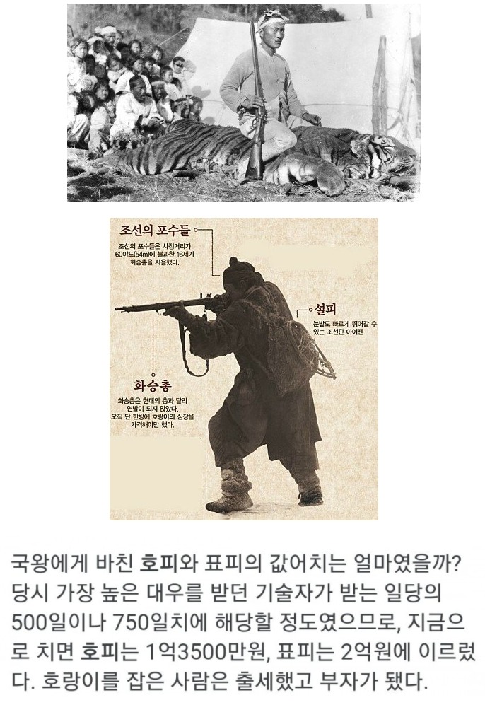 조선시대 호피 가격