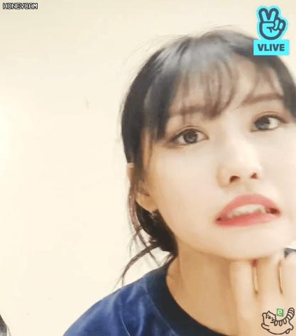콘서트후 나연 모모 사나 다현 지효