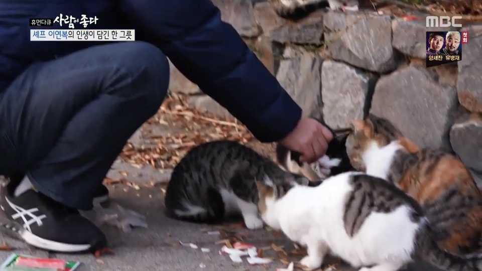 이연복이 먹여살리는 동물들