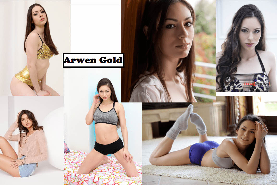 S급 서양 배우 확장판