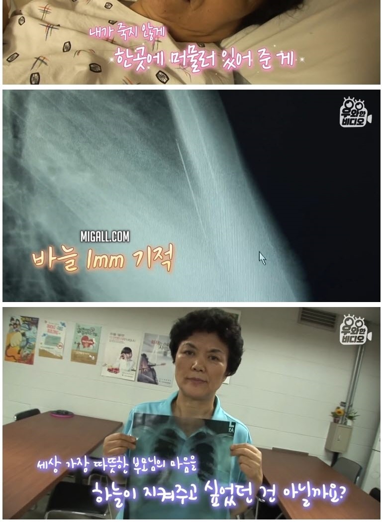 심장 1mm 앞에 꽂힌 바늘