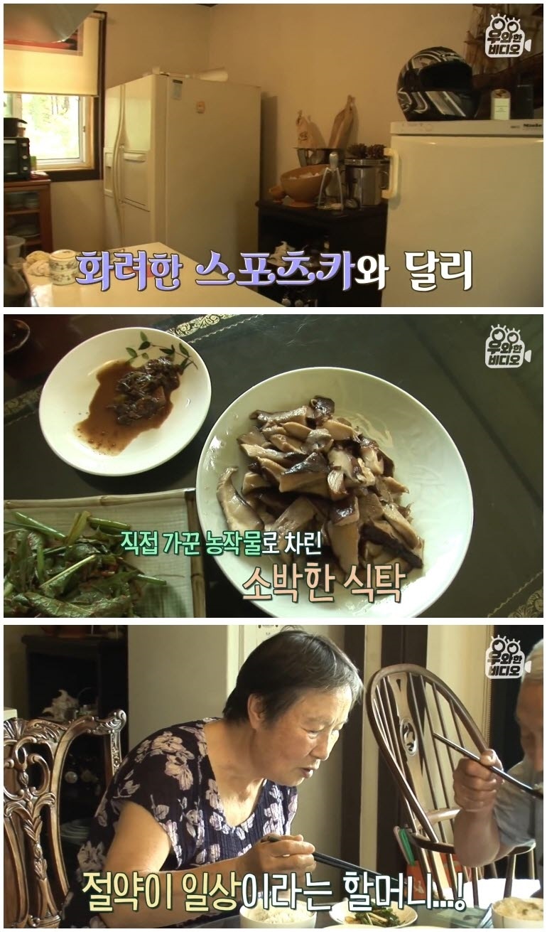 74세 스포츠카 차주