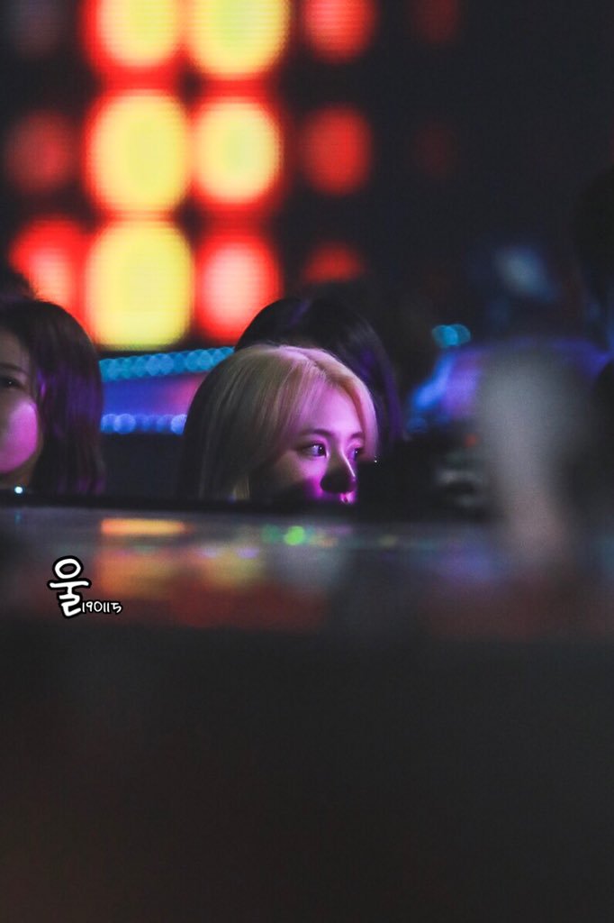미어캣 트와이스