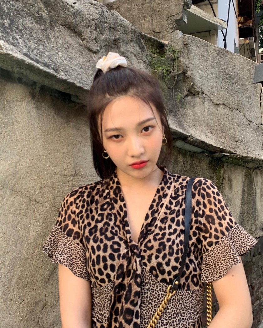 호피 조이
