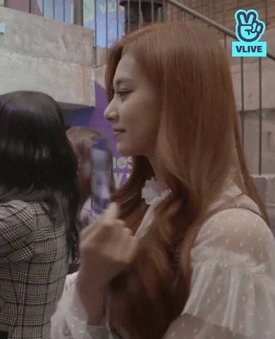 re:memV-log 트와이스 미나,쯔위