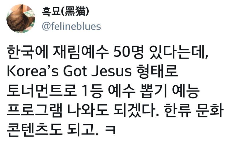 새로운 한류 문화를 이끌 신박한 컨텐츠