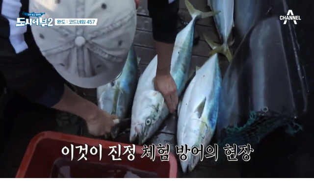 방어잡은 도시어부 프로그램 근황