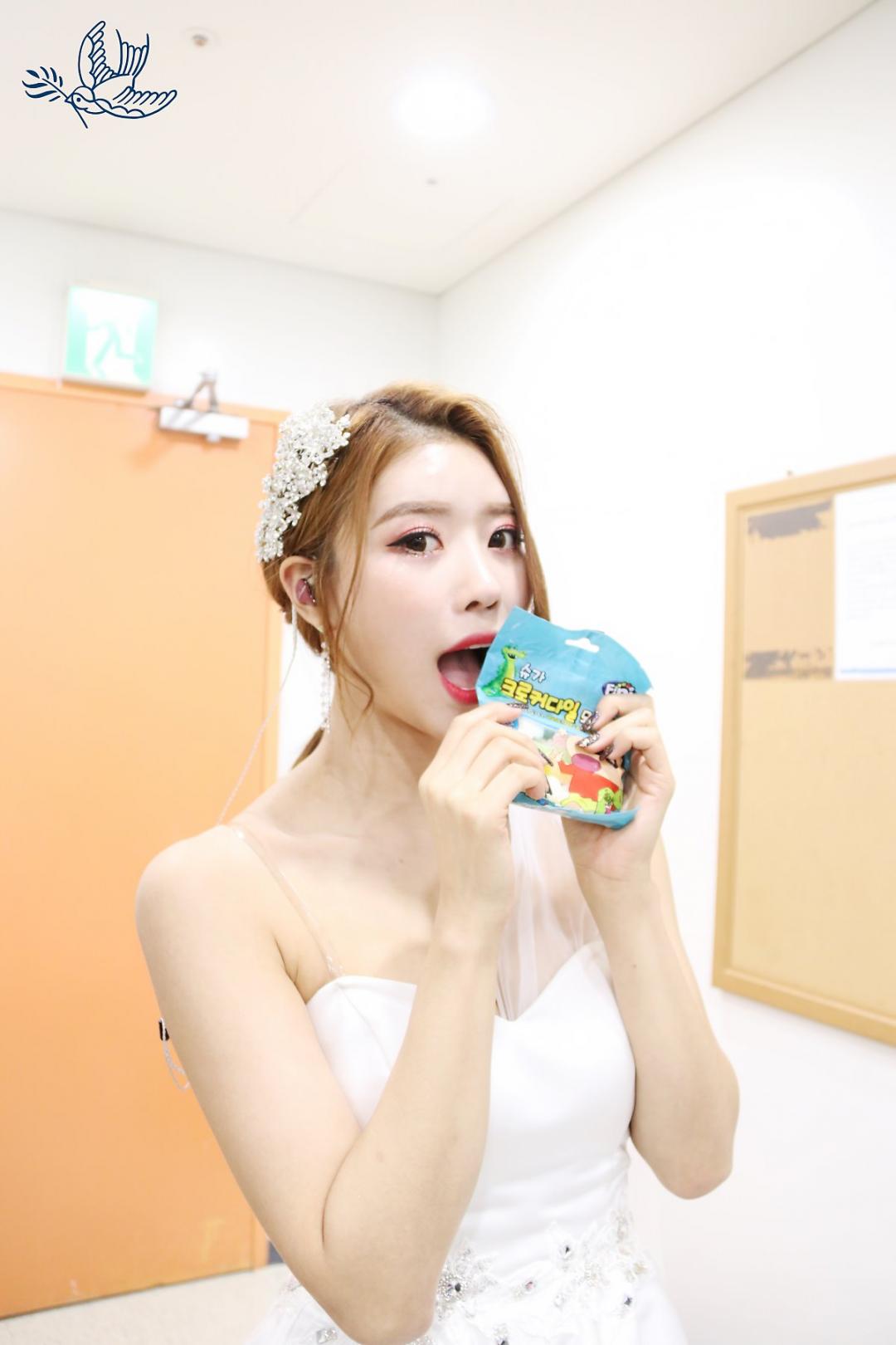 Lovelyz 소중했던 기억들로 Rewind 스압~