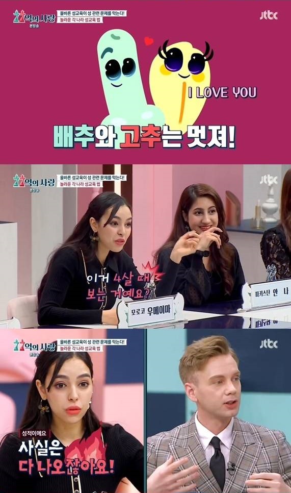 스웨덴의 교육 애니메이션