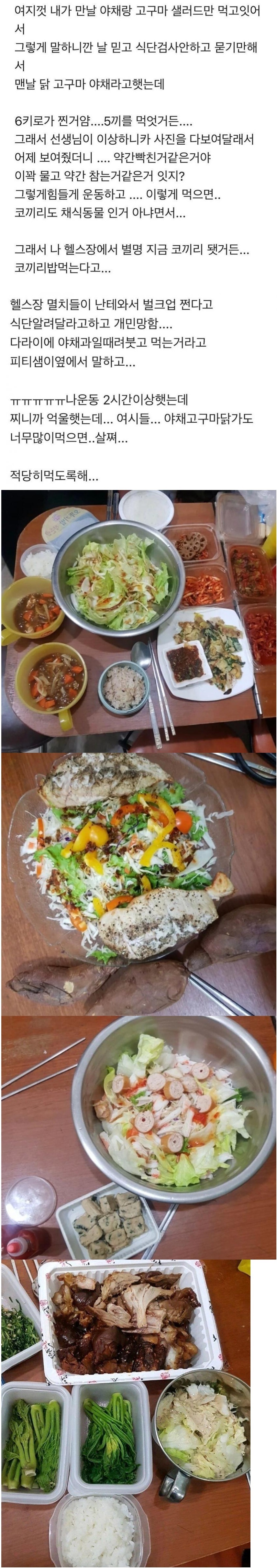 논란의 다이어트 식단