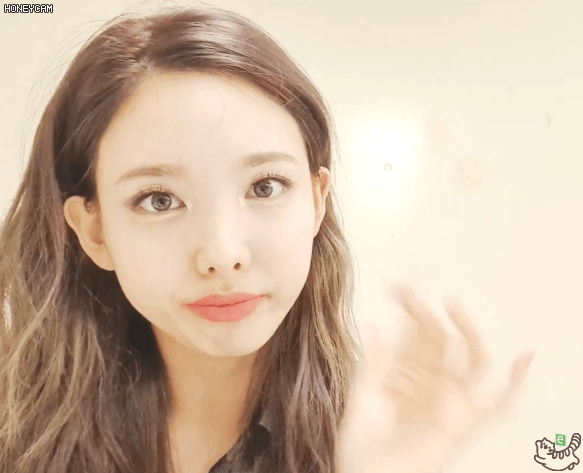 콘서트후 나연 모모 사나 다현 지효