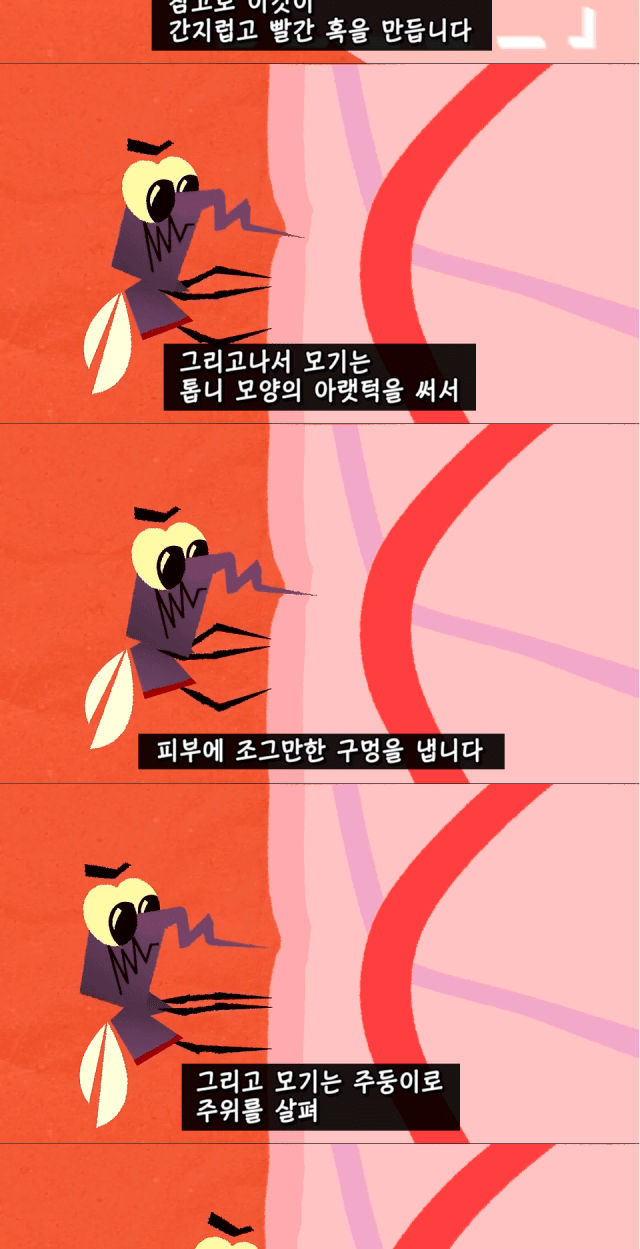 지구상 최악의 벌레