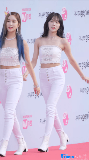 레드카펫 백바지 루다