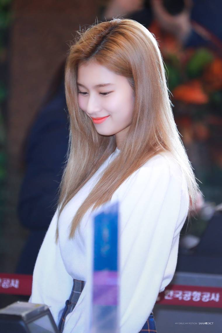 트와이스 미나 / 사나 / 쯔위