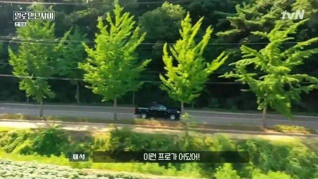 예술로 까분다는 아들