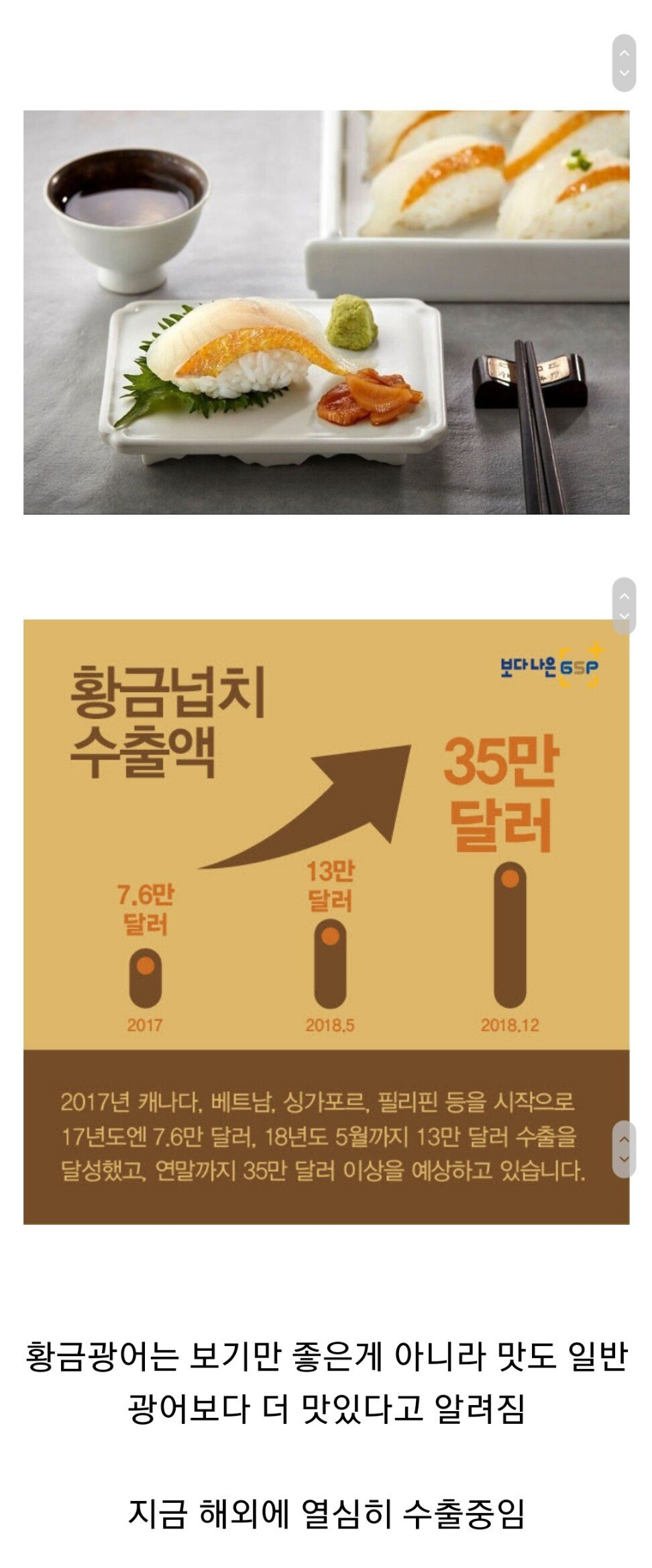 세계에서 최초로 양식 성공한 황금광어
