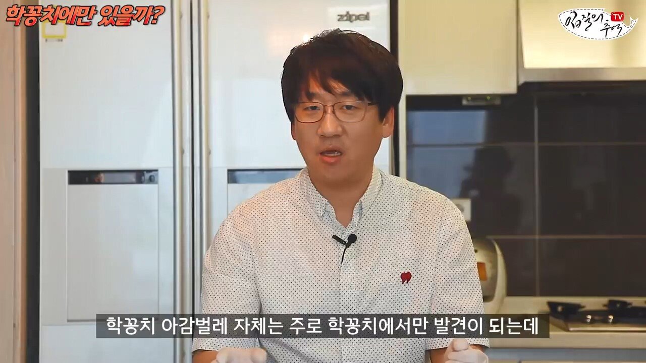 학꽁치 아가미에 사는 기생충