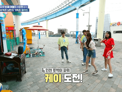 동네앨범 수정 케이