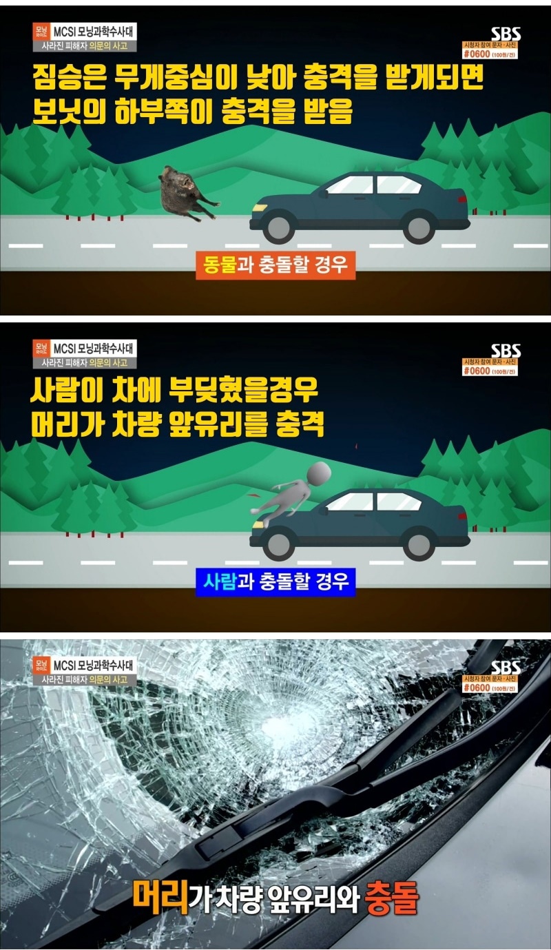 산짐승을 치었다는 사고 운전자