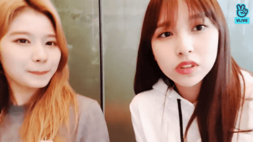 오늘자 브이앱 트와이스 미나 사나 모모 [108mb]