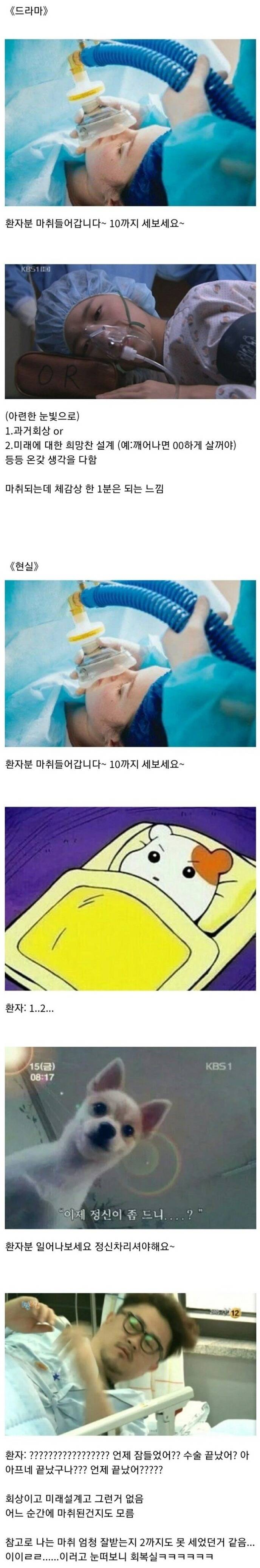 현실과 드라마의 마취