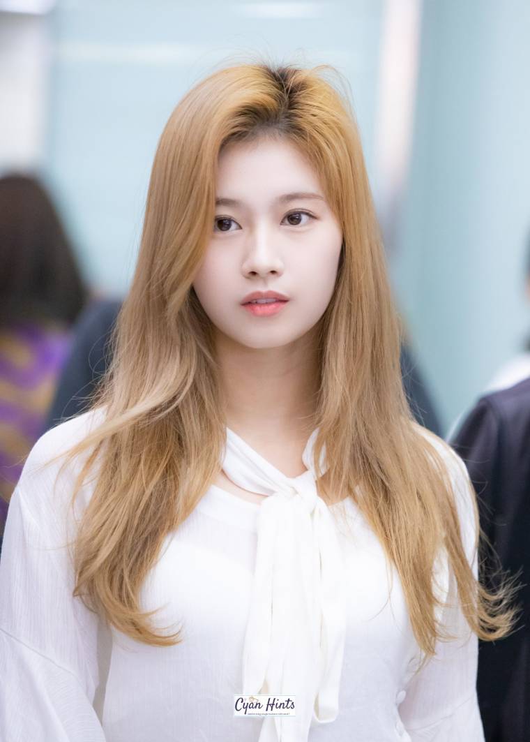 트와이스 미나 / 사나 / 쯔위