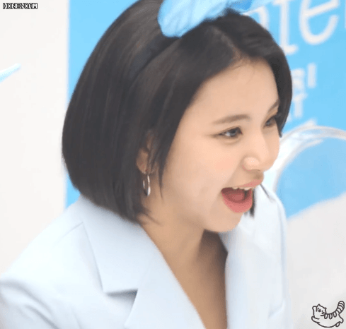 포카리 쯔위 채영