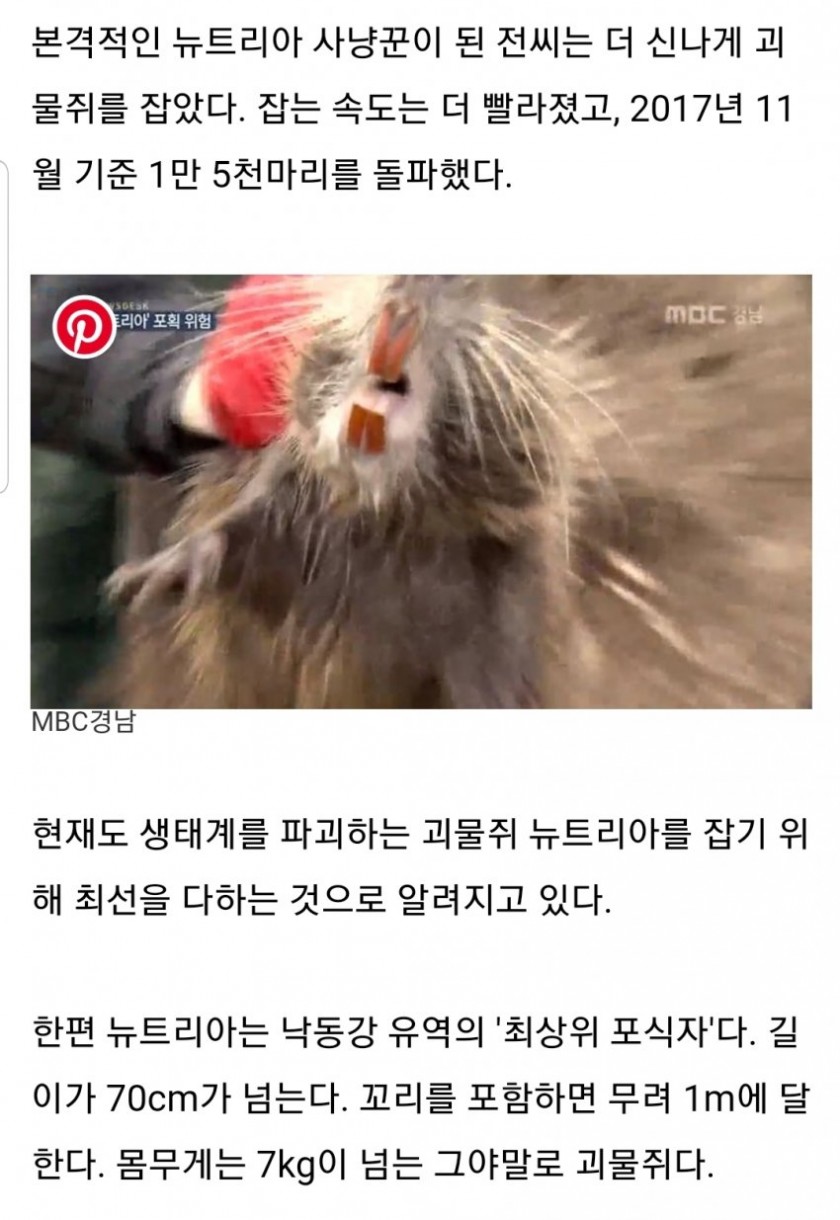 돼지열병 포상금에 안심할 수 있는 이유