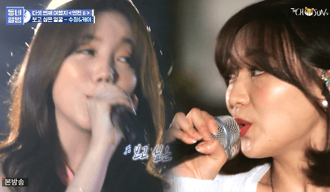 동네앨범 수정 케이