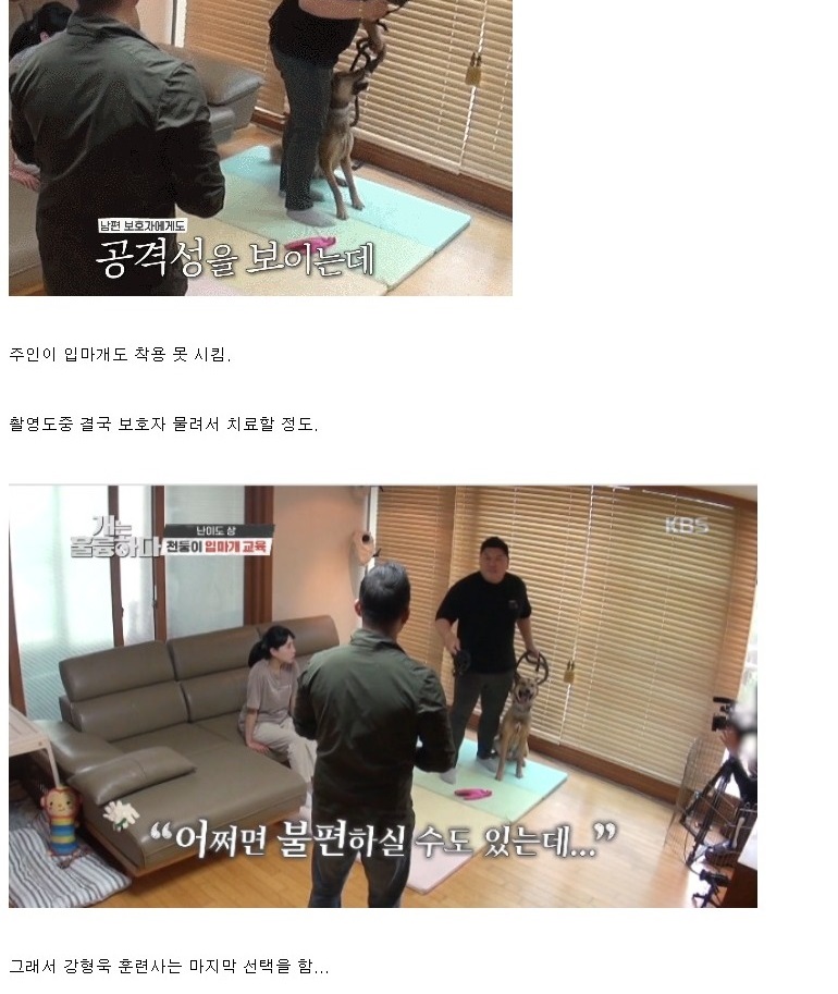 개통령 동물학대 논란