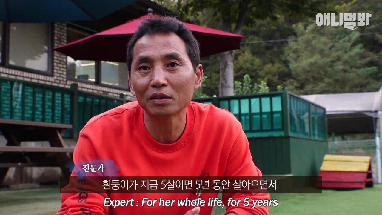 산책로 화장실에 유기된 개