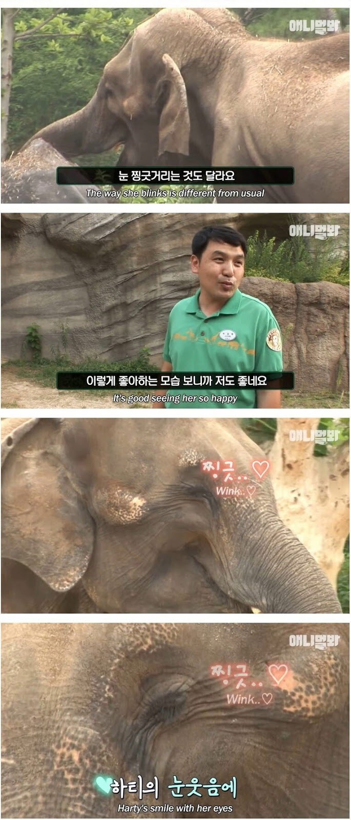 남친이랑 헤어지고 방청소 하다가 울음