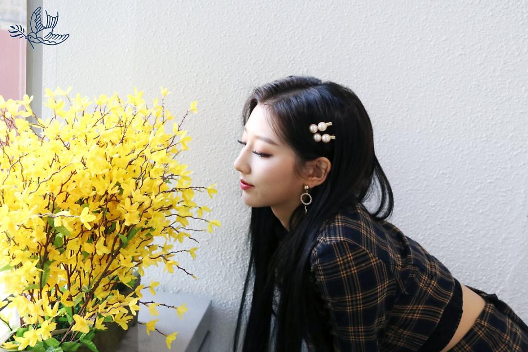 Lovelyz 소중했던 기억들로 Rewind 스압~