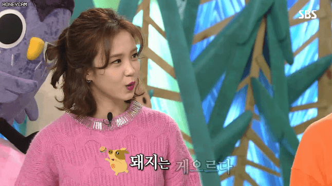 동농 장예원 아나운서