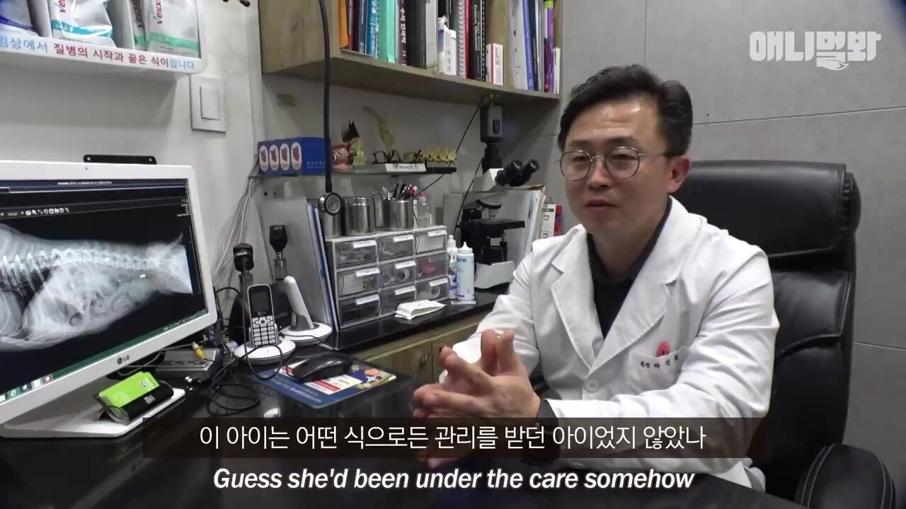 산책로 화장실에 유기된 개