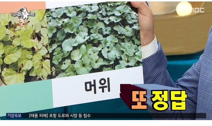 나물박사 곽철용
