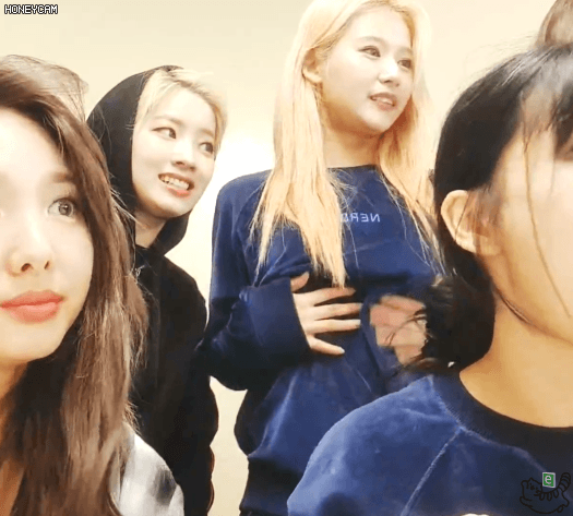 콘서트후 나연 모모 사나 다현 지효