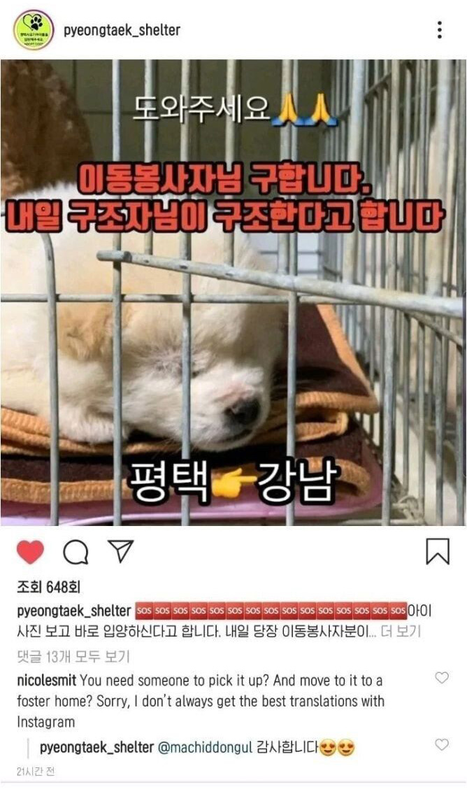 이연복이 입양한 개