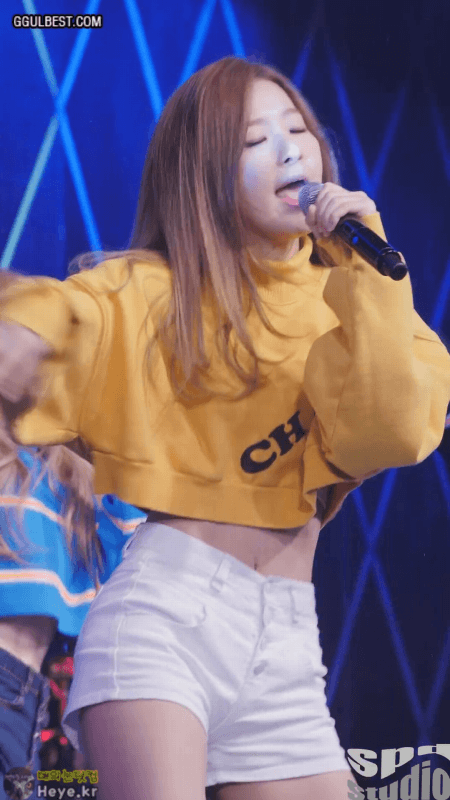 노란 슬기