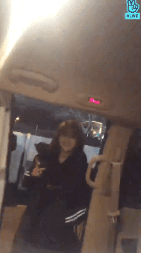 움짤 어제자 V앱 트와이스 모모,정연,지효