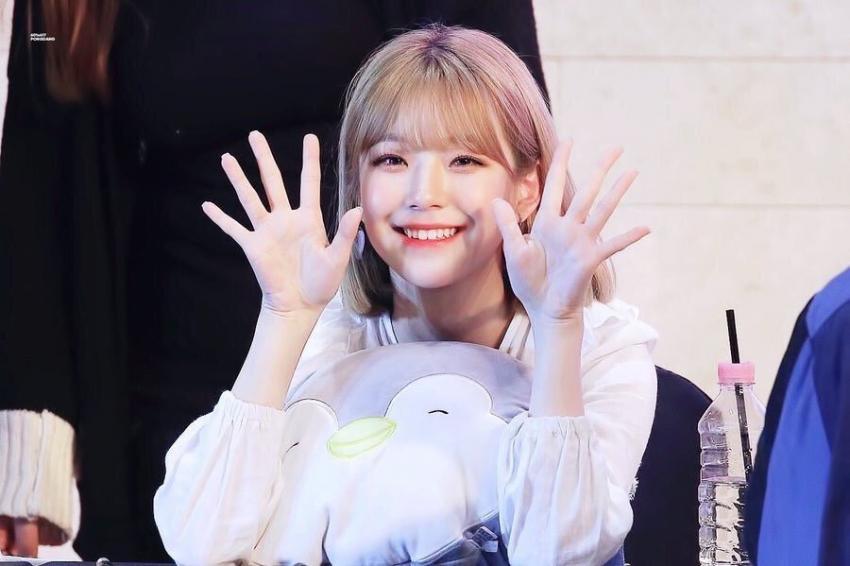 프로미스나인 백지헌