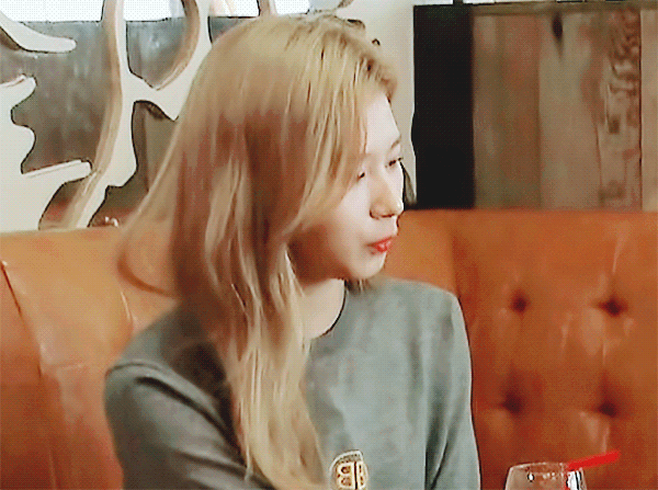 정열대륙 트와이스 사나 지효 모모 나연 [데이터]