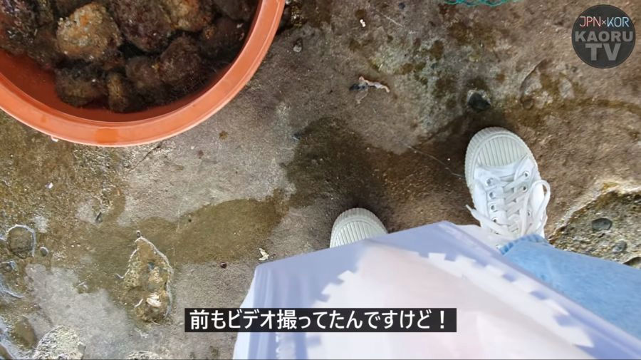 부산 해녀촌에 놀러간 일본 여성