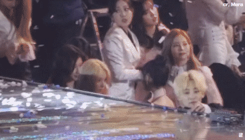 미어캣 트와이스
