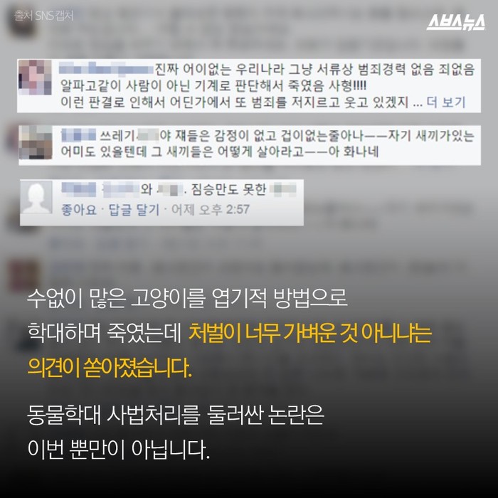 고양이 600마리 살해, 집행유예 2년 선고